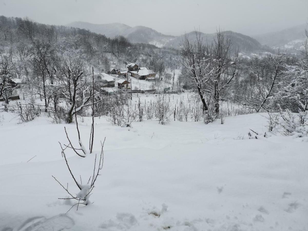 Provita de Jos Cabanuta Fara Fite 빌라 외부 사진